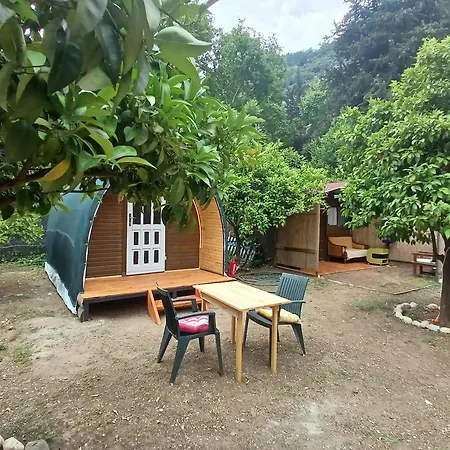 Kalinka * Çıralı